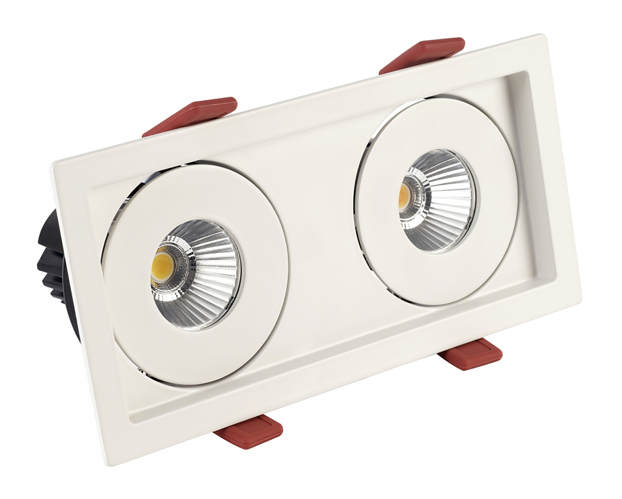 BIZZ 12-2 Recessed Ceiling Luminaires Dlux Multi-Head Recess Ceiling